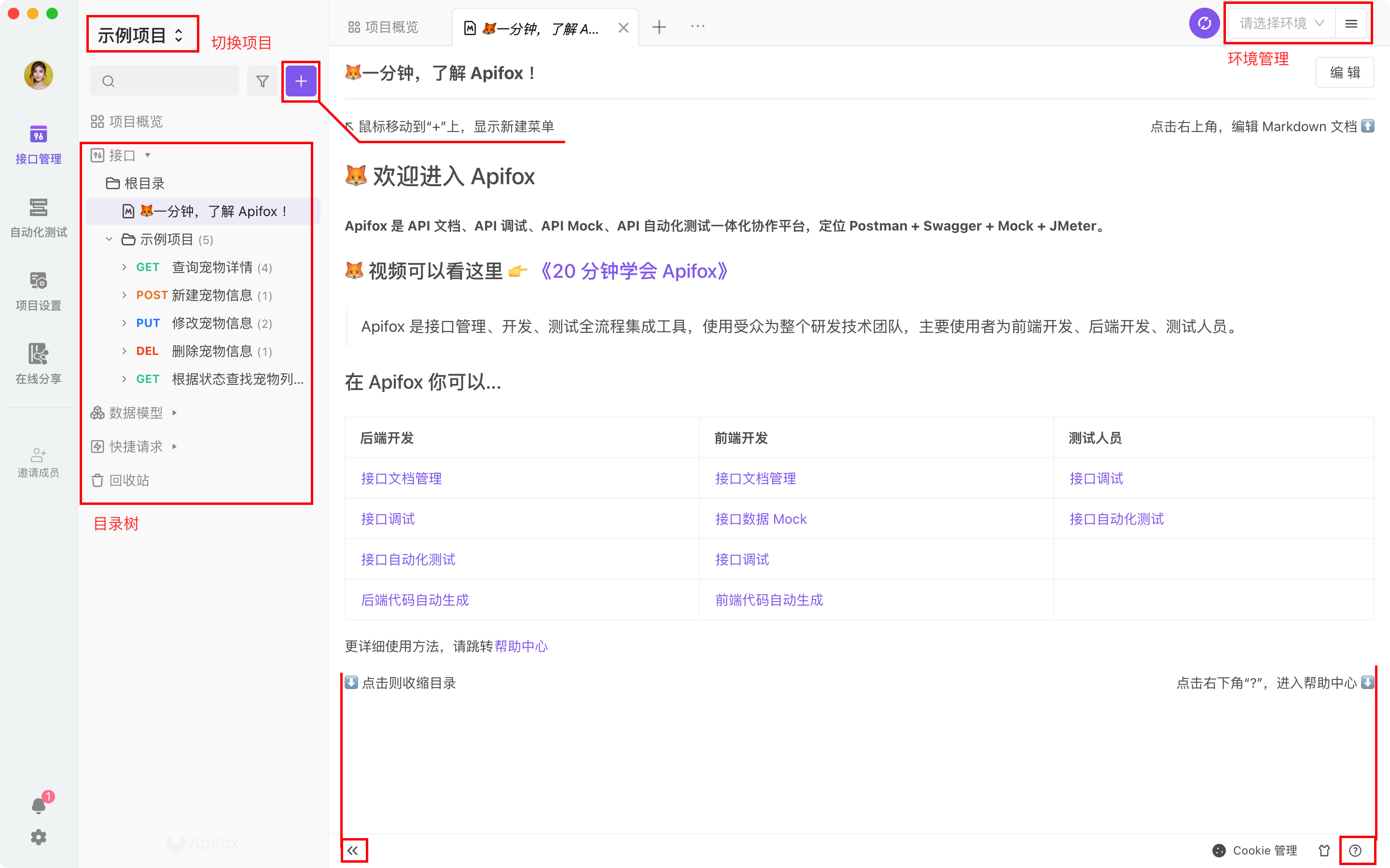 登录与使用 | Apifox 帮助文档