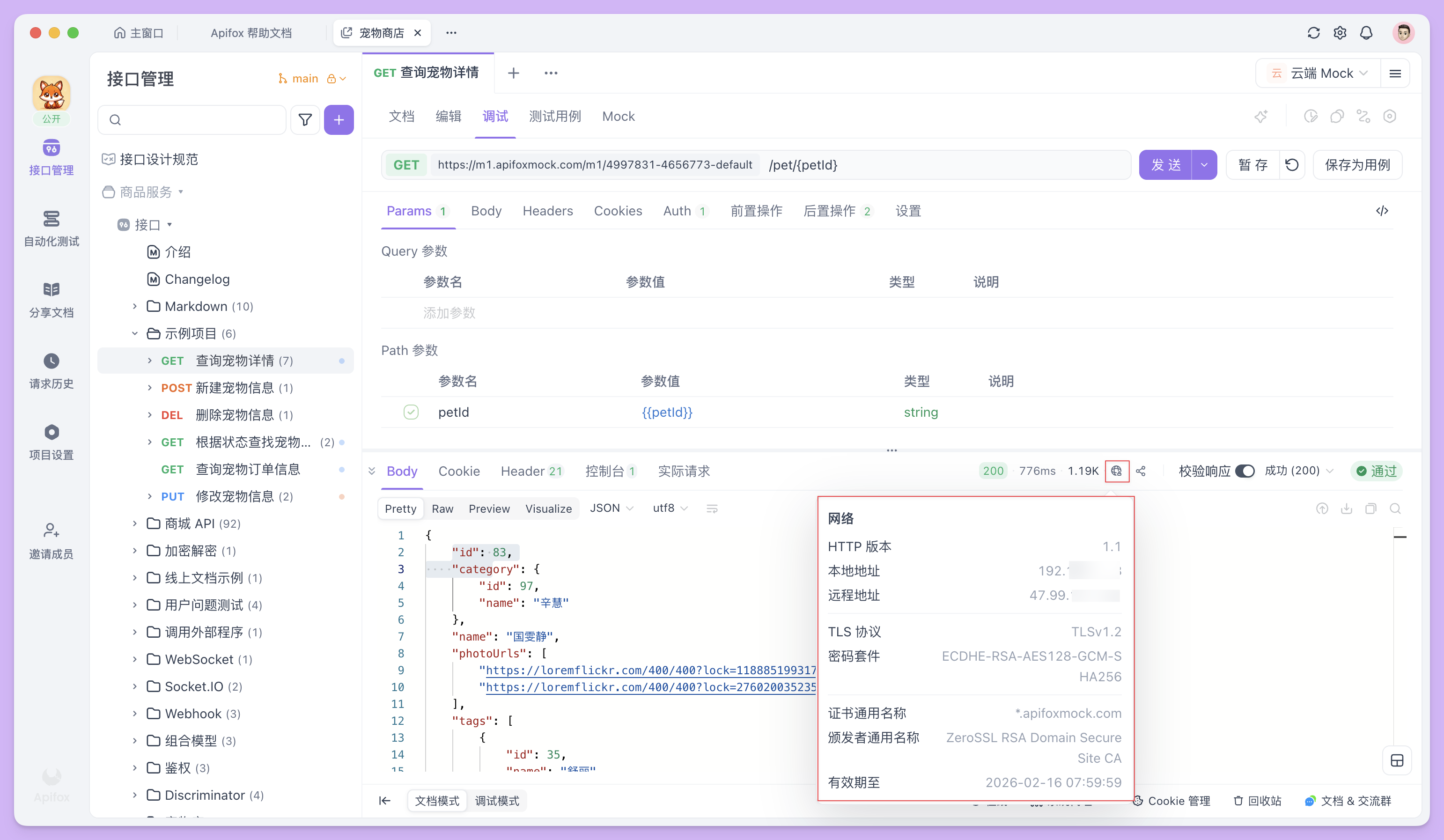 查看 HTTP 版本、TLS 协议等网络信息